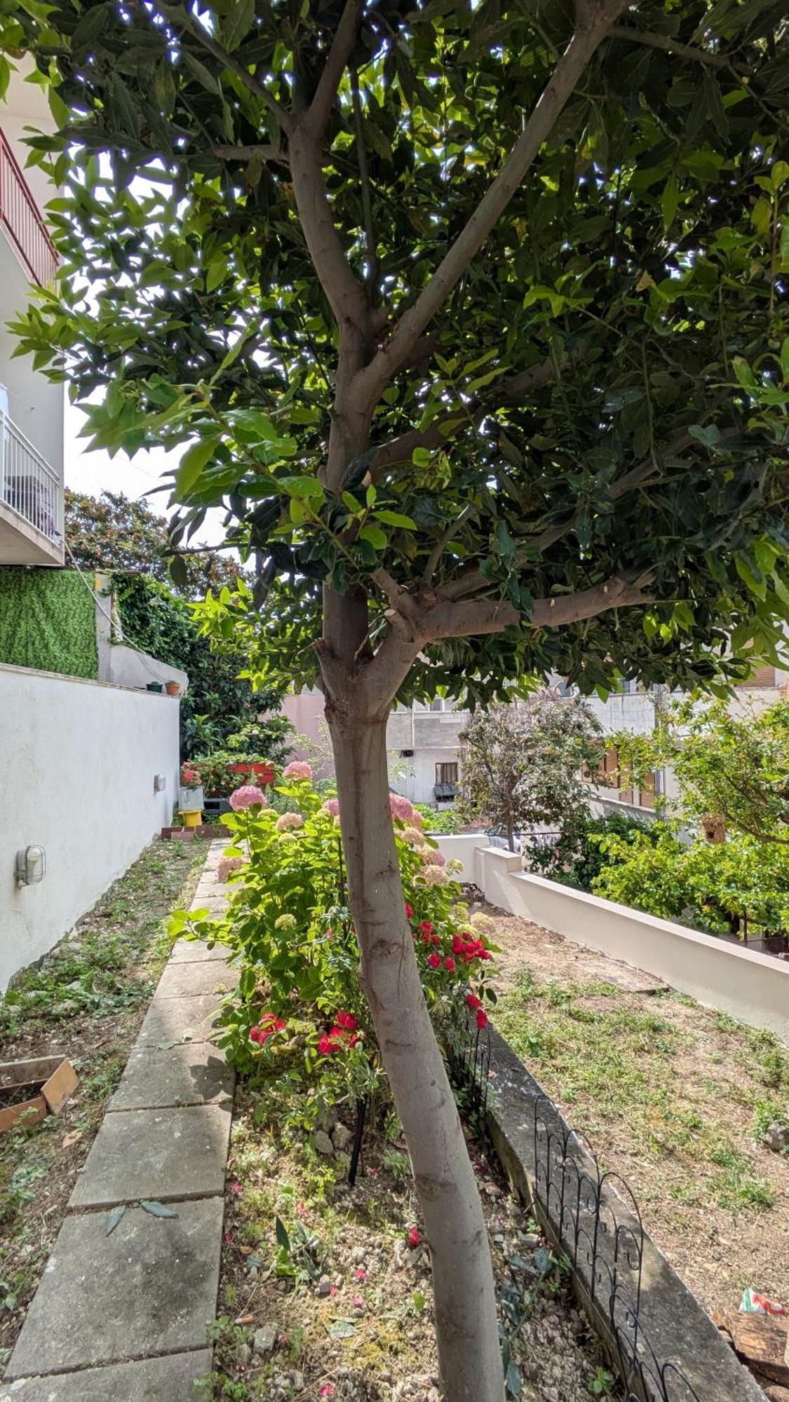 Misho Apartment With Terrace 스플리트 외부 사진